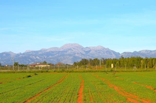 Działka budowlana na sprzedaż w Muro - 250 000 € (Ref: 9753402)