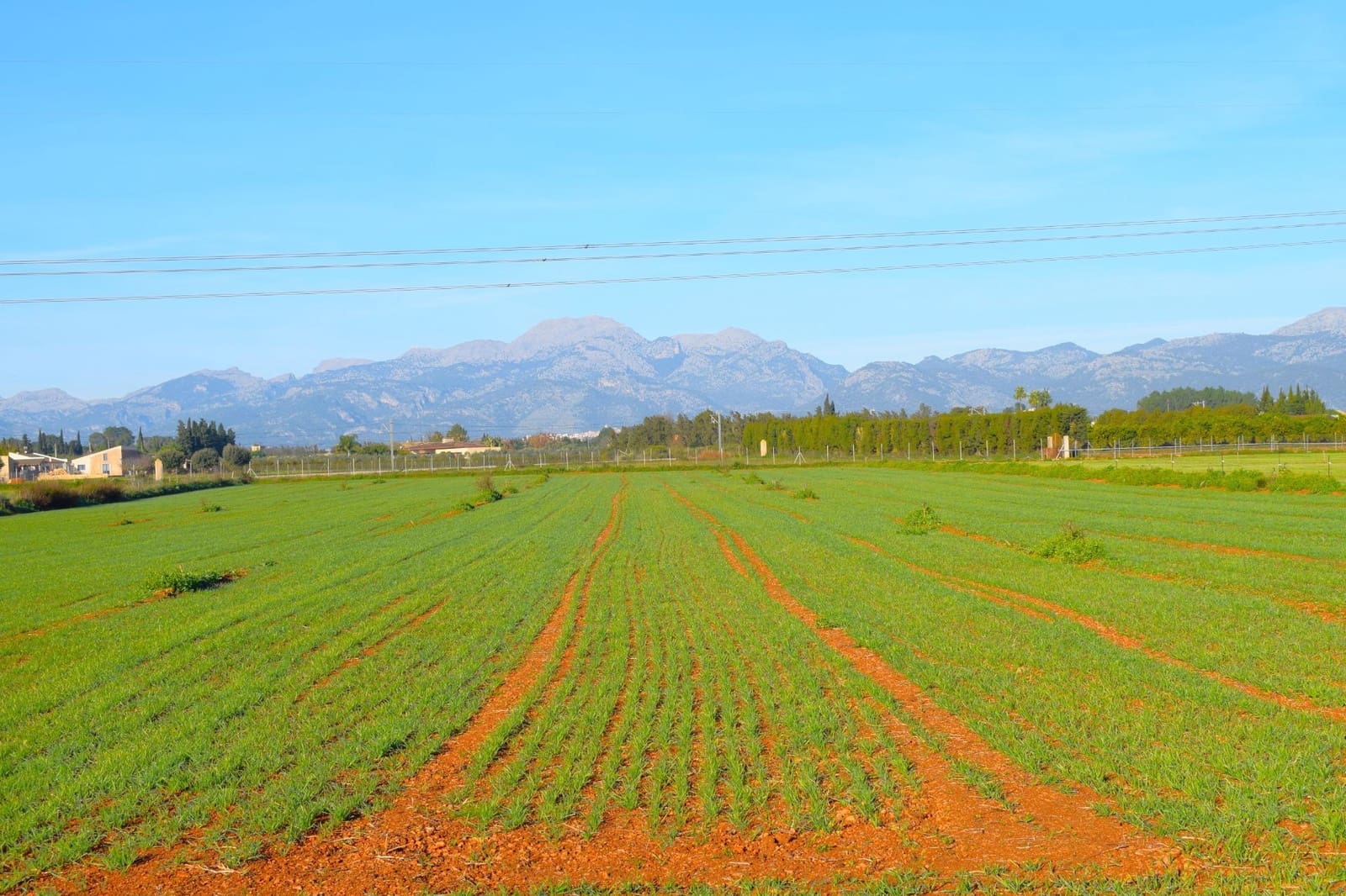 Działka budowlana na sprzedaż w Muro - 250 000 € (Ref: 9753402)