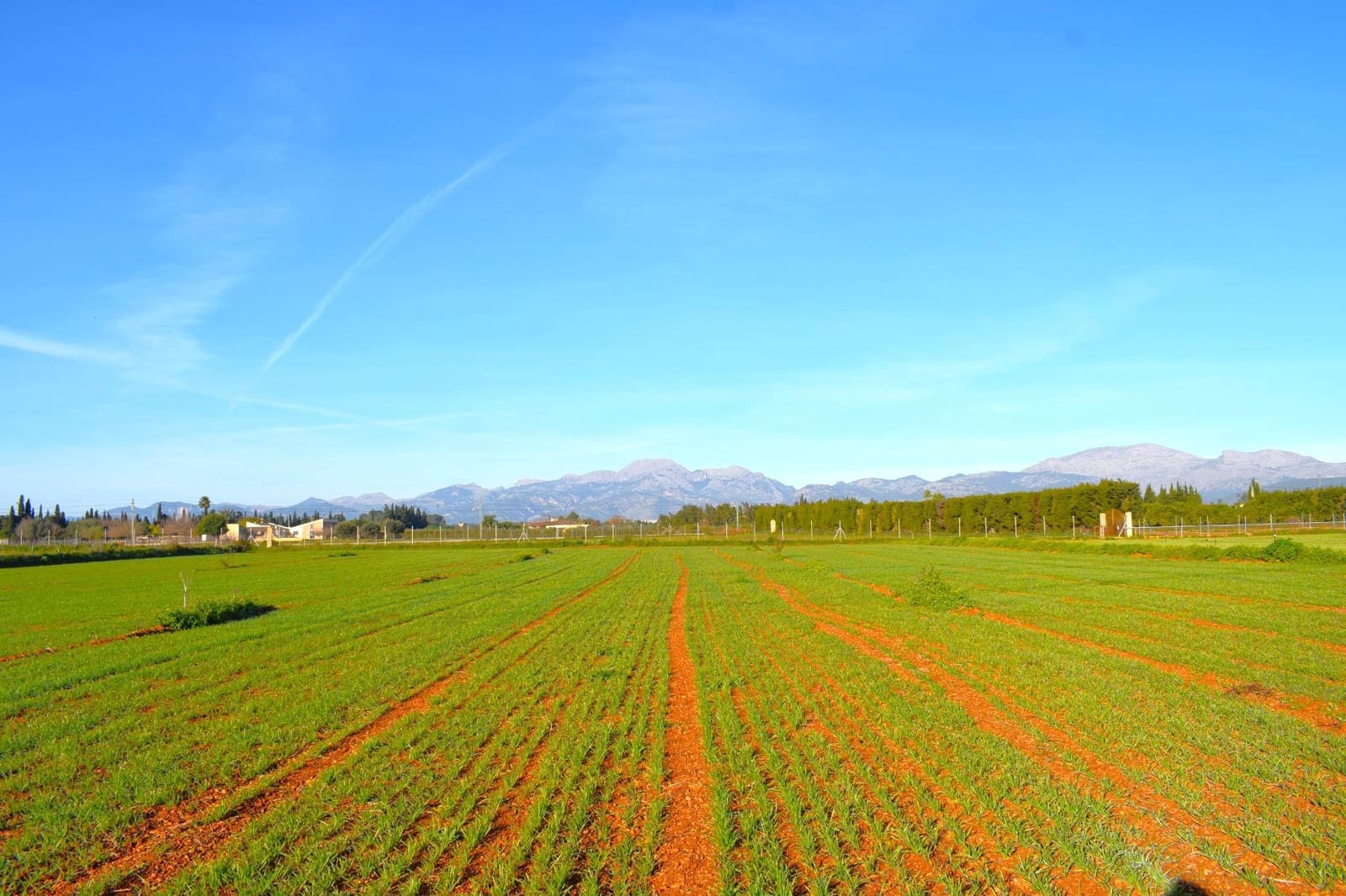 Działka budowlana na sprzedaż w Muro - 250 000 € (Ref: 9753402)