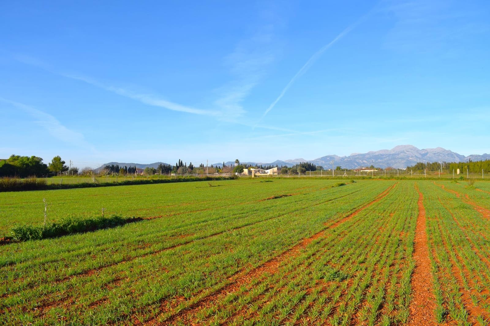 Działka budowlana na sprzedaż w Muro - 250 000 € (Ref: 9753402)