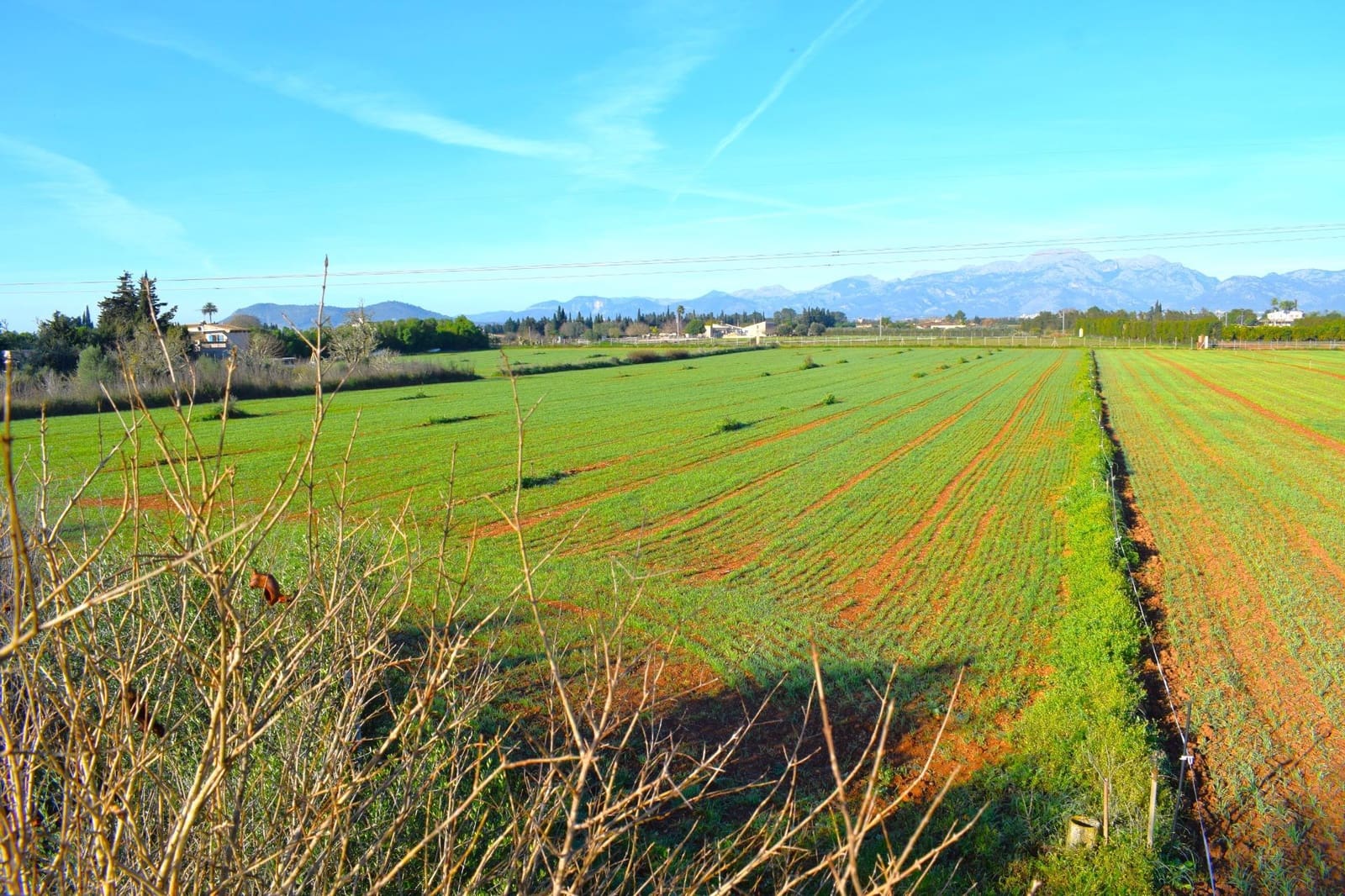 Działka budowlana na sprzedaż w Muro - 250 000 € (Ref: 9753402)