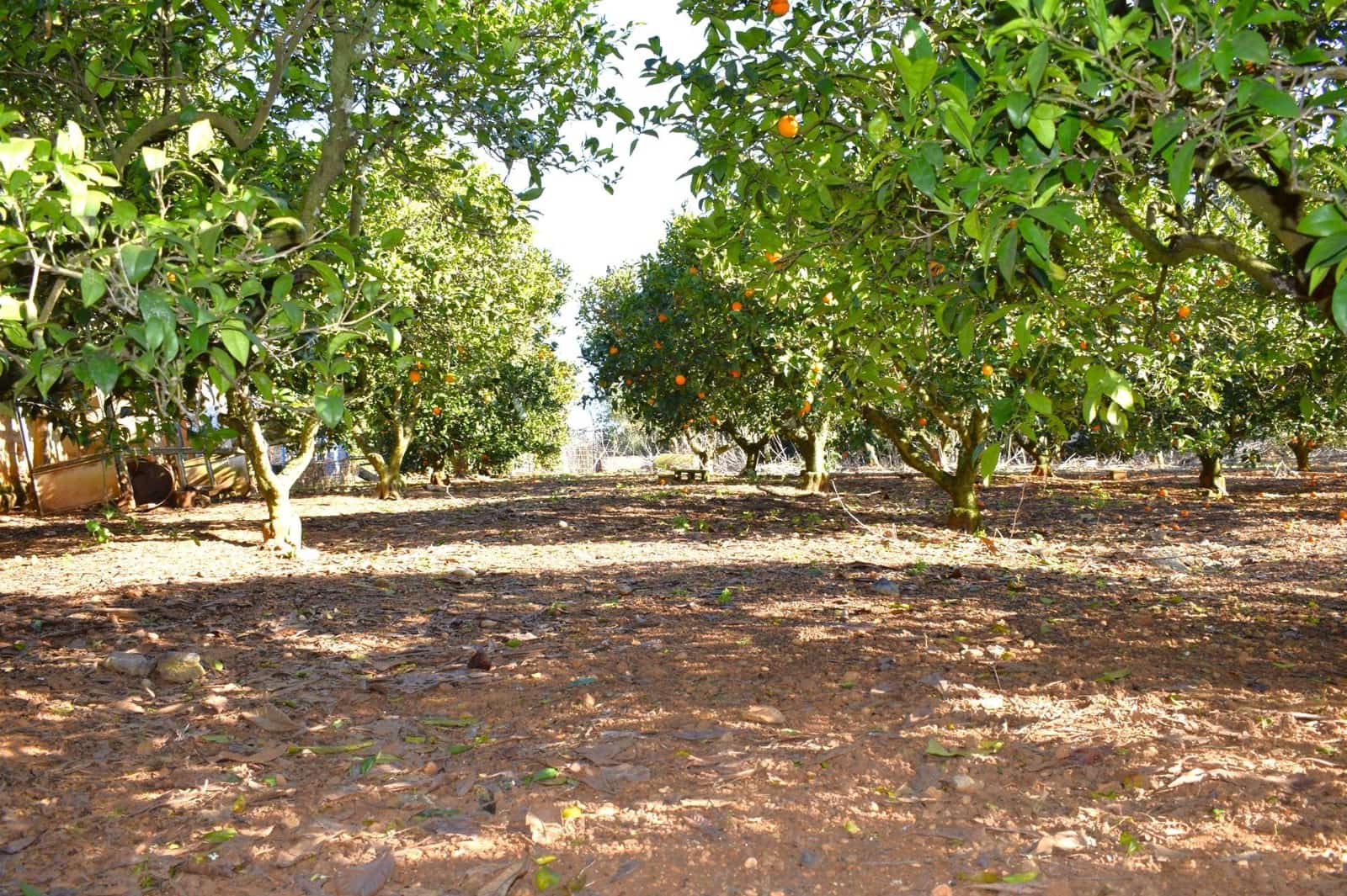 Działka budowlana na sprzedaż w Muro - 250 000 € (Ref: 9753402)