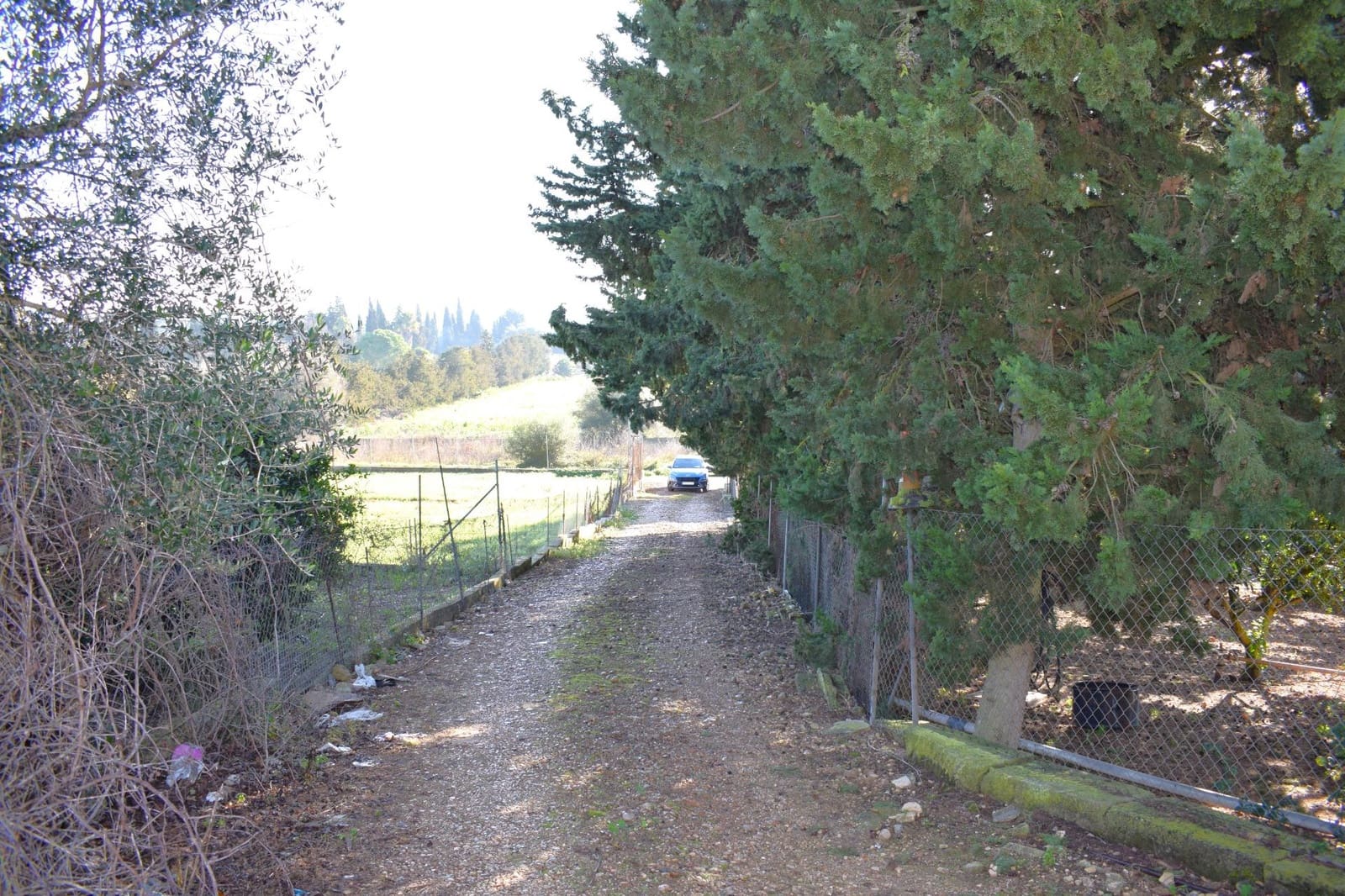 Działka budowlana na sprzedaż w Muro - 250 000 € (Ref: 9753402)