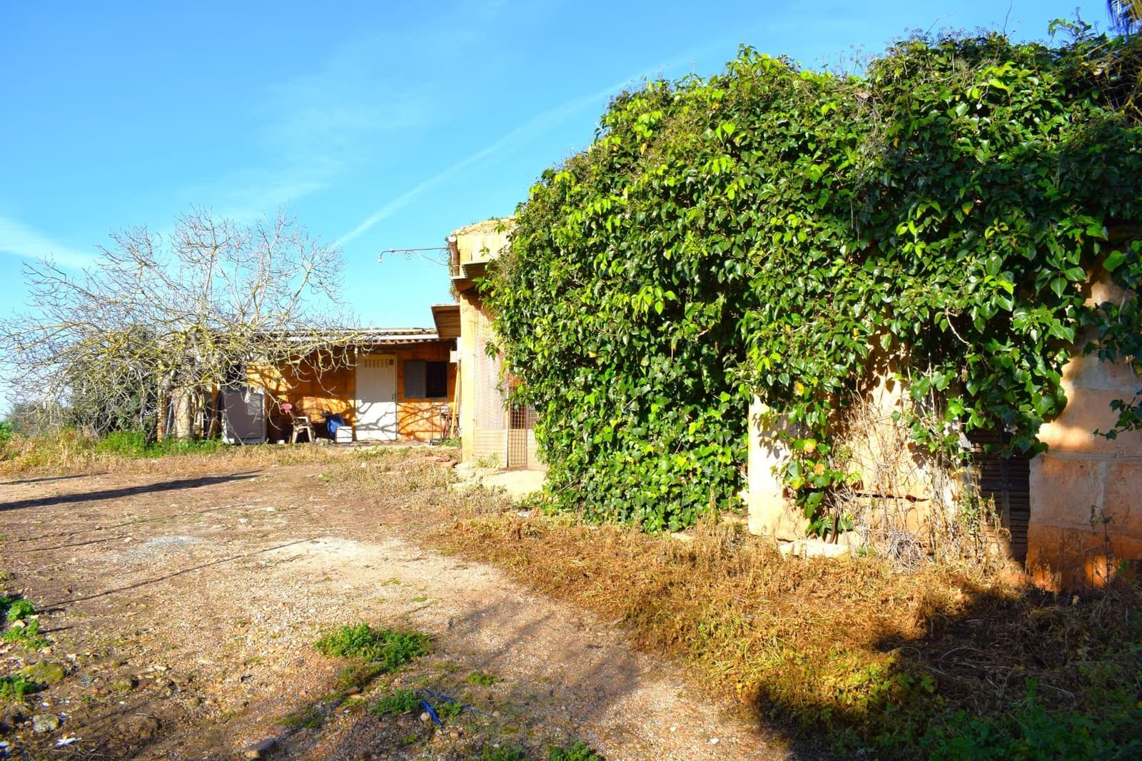 Działka budowlana na sprzedaż w Muro - 250 000 € (Ref: 9753402)