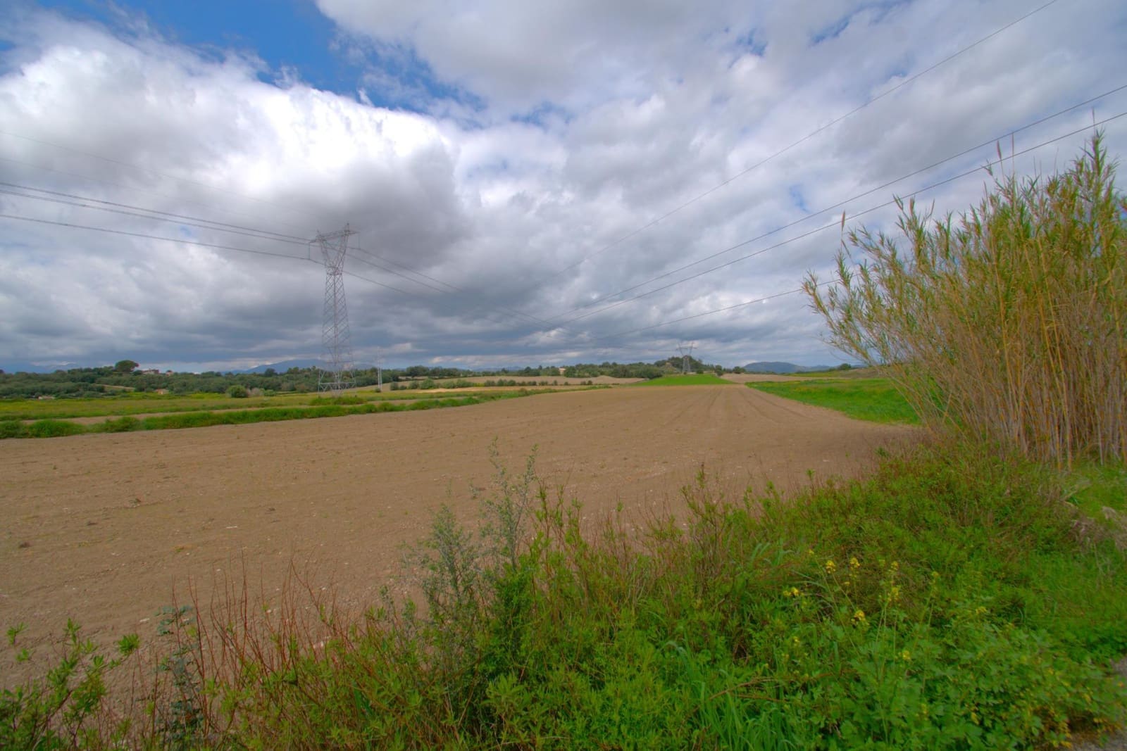 Byggegrund til salg i Muro - € 300.000 (Ref: 9753403)