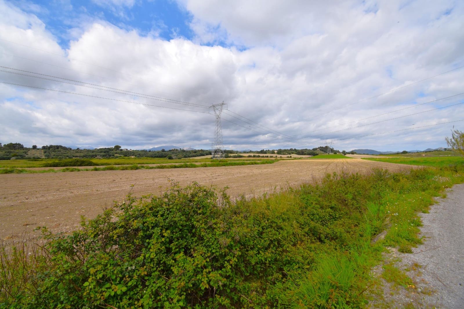 Byggegrund til salg i Muro - € 300.000 (Ref: 9753403)