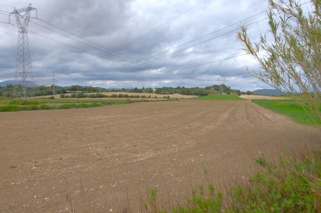 Byggegrund til salg i Muro - € 300.000 (Ref: 9753403)