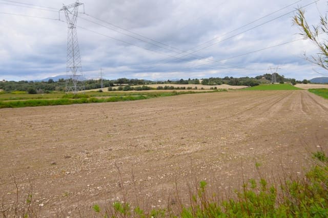 Byggegrund til salg i Muro - € 300.000 (Ref: 9753403)