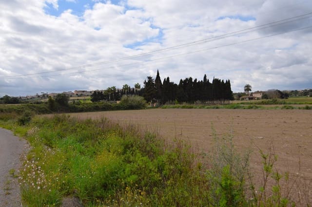 Byggegrund til salg i Muro - € 300.000 (Ref: 9753403)