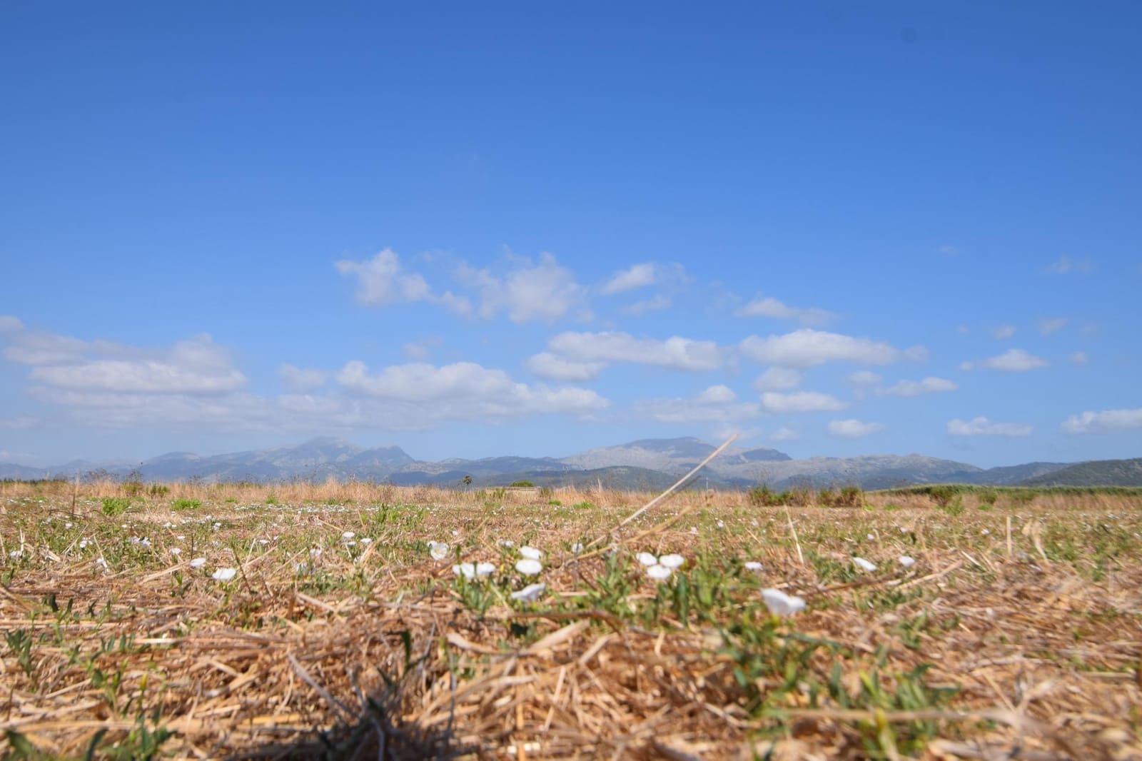 Quinta/Casa Rural para venda em Muro - 195 000 € (Ref: 9755906)