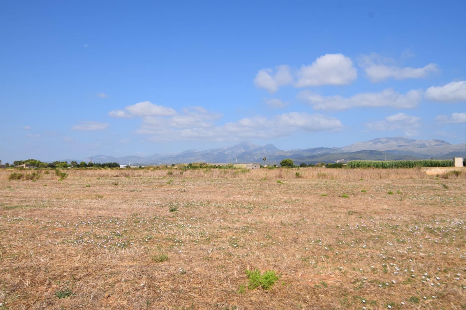 Quinta/Casa Rural para venda em Muro - 195 000 € (Ref: 9755906)