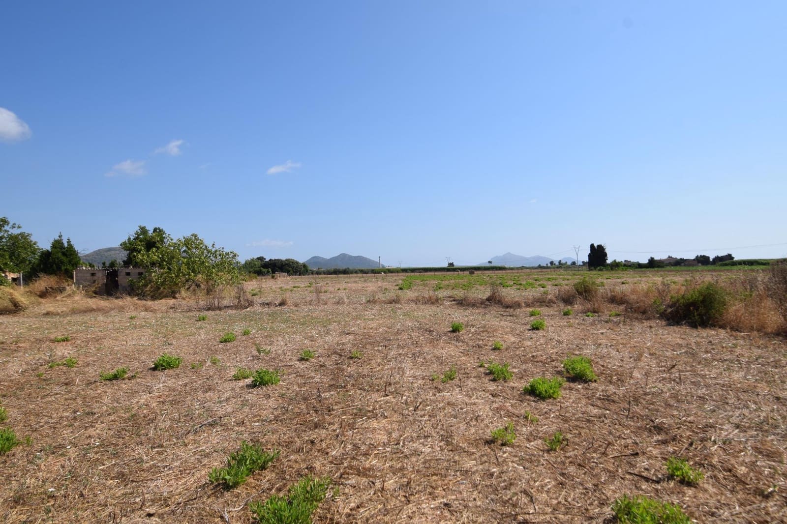 Quinta/Casa Rural para venda em Muro - 195 000 € (Ref: 9755906)