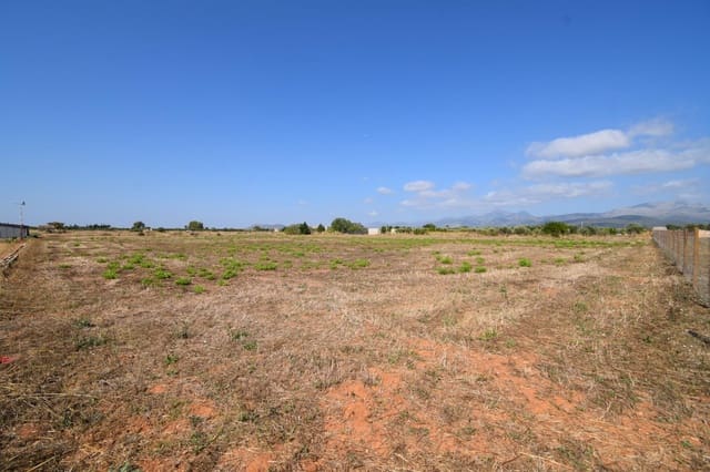 Quinta/Casa Rural para venda em Muro - 195 000 € (Ref: 9755906)