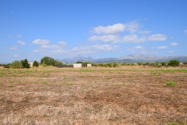 Quinta/Casa Rural para venda em Muro - 195 000 € (Ref: 9755906)