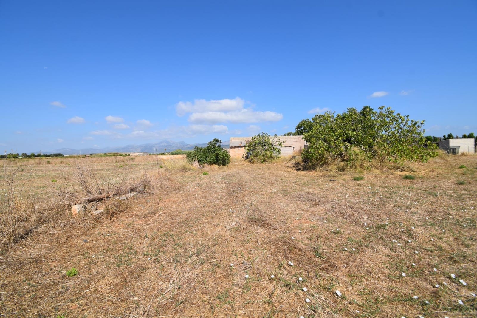 Quinta/Casa Rural para venda em Muro - 195 000 € (Ref: 9755906)