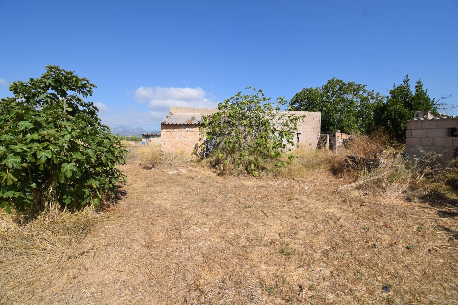 Quinta/Casa Rural para venda em Muro - 195 000 € (Ref: 9755906)