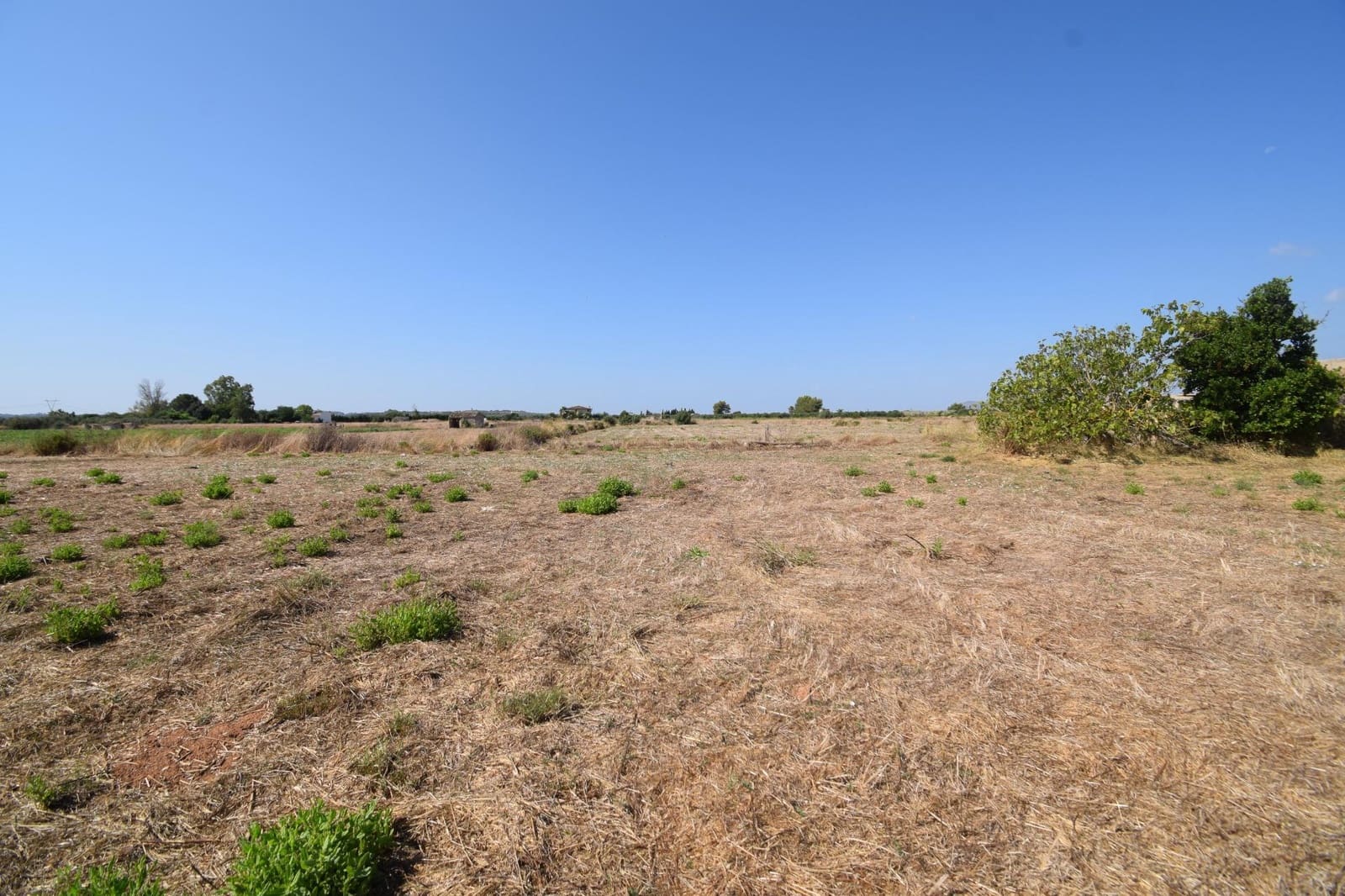 Quinta/Casa Rural para venda em Muro - 195 000 € (Ref: 9755906)