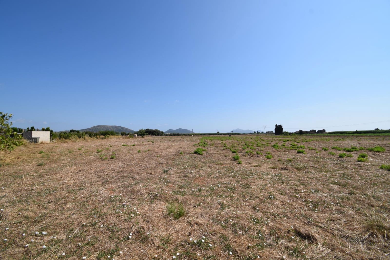 Quinta/Casa Rural para venda em Muro - 195 000 € (Ref: 9755906)