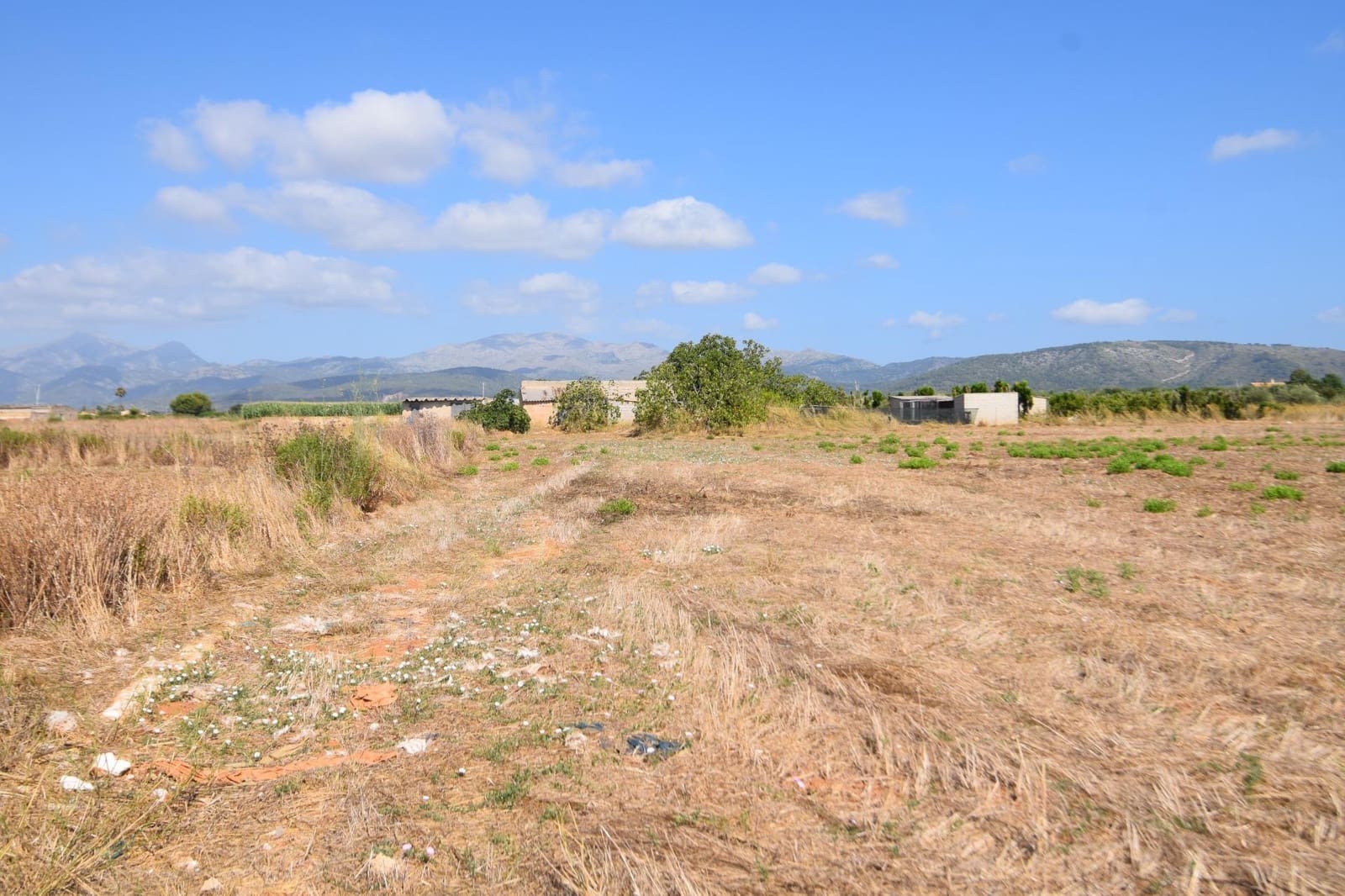 Quinta/Casa Rural para venda em Muro - 195 000 € (Ref: 9755906)