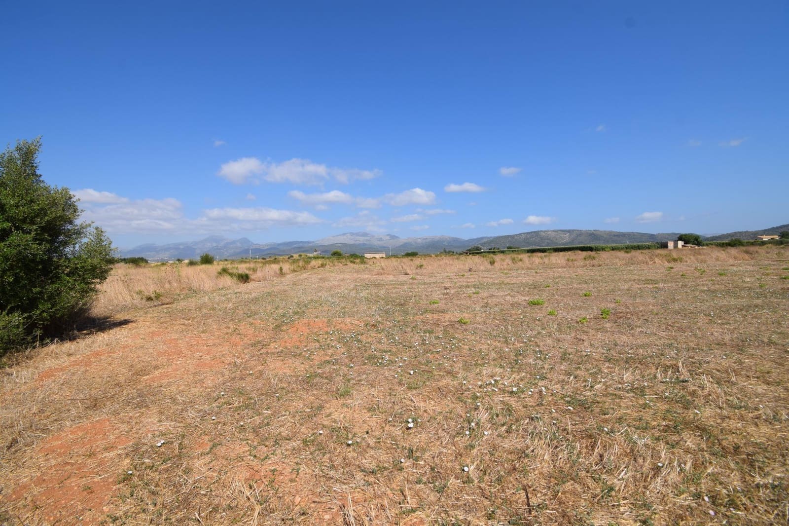 Quinta/Casa Rural para venda em Muro - 195 000 € (Ref: 9755906)