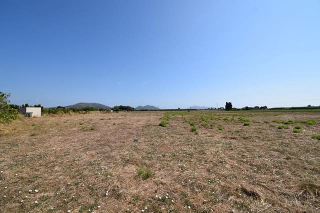 Quinta/Casa Rural para venda em Muro - 195 000 € (Ref: 9755906)