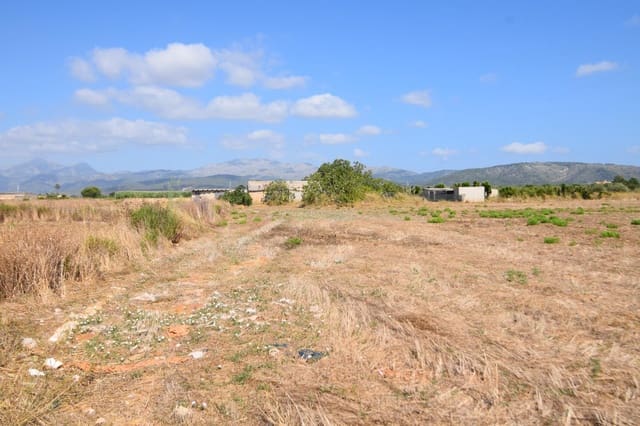 Quinta/Casa Rural para venda em Muro - 195 000 € (Ref: 9755906)