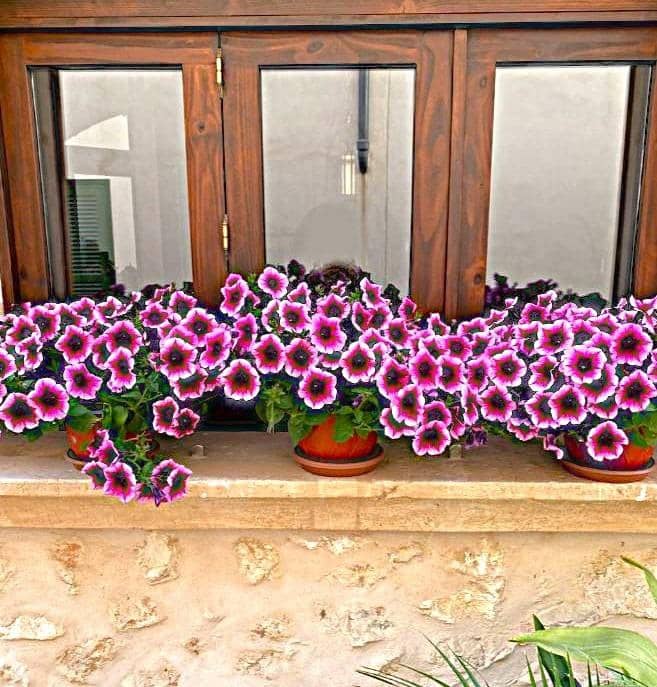 3 sypialnia Dom szeregowy na sprzedaż w Muro z garażem - 500 000 € (Ref: 9755908)