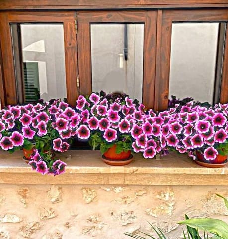 3 soverom Rekkehus til salgs i Muro med garasje - € 500 000 (Ref: 9755908)