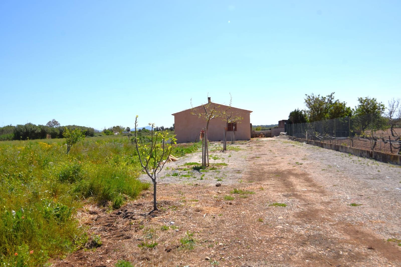 Building Plot for sale in Muro - € 165,000 (Ref: 9773278)