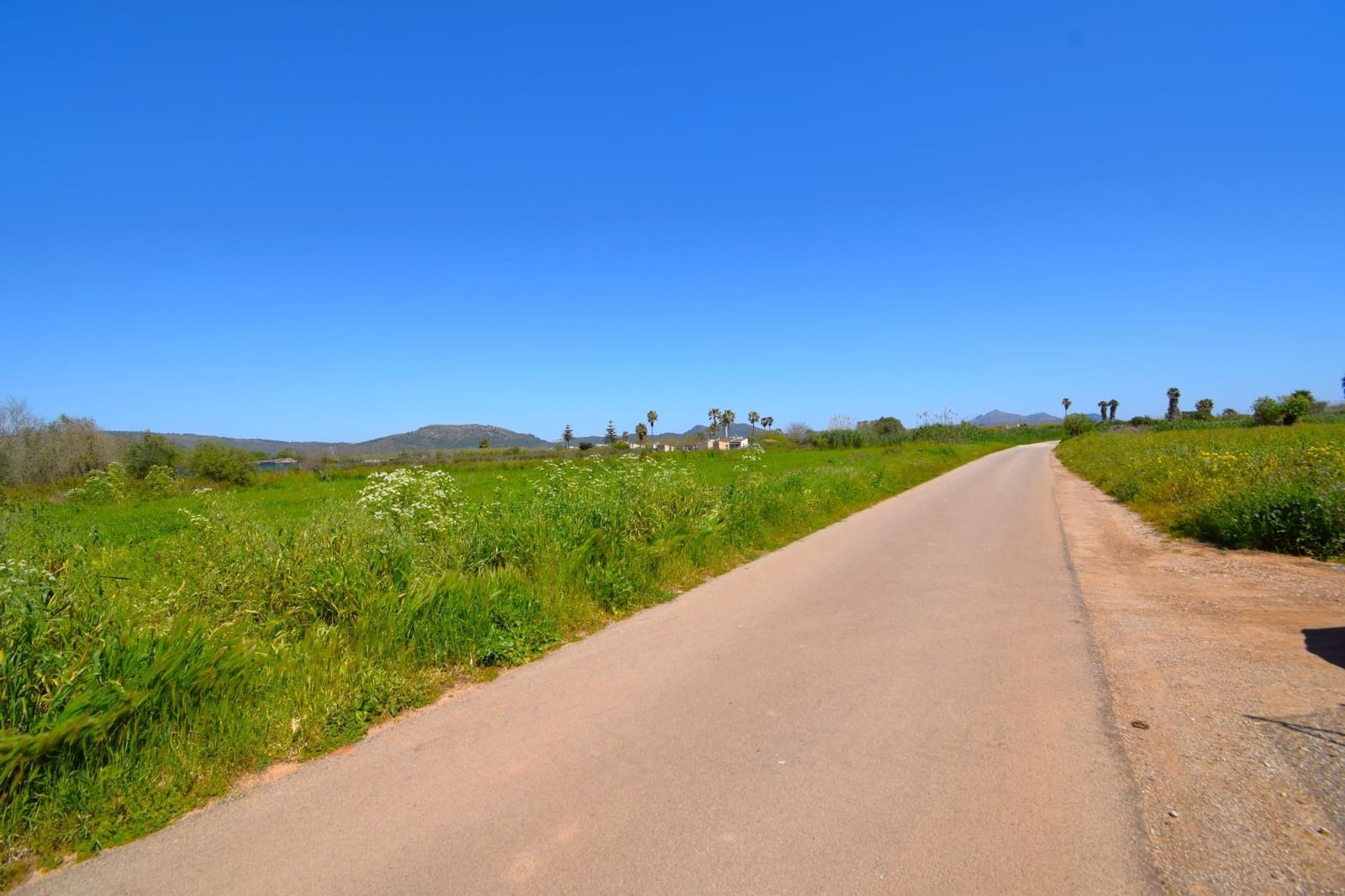 Building Plot for sale in Muro - € 165,000 (Ref: 9773278)