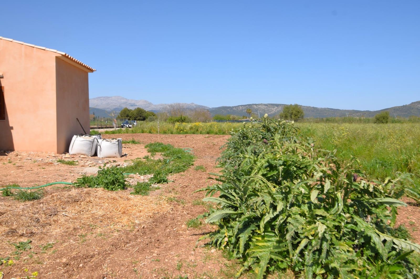 Building Plot for sale in Muro - € 165,000 (Ref: 9773278)