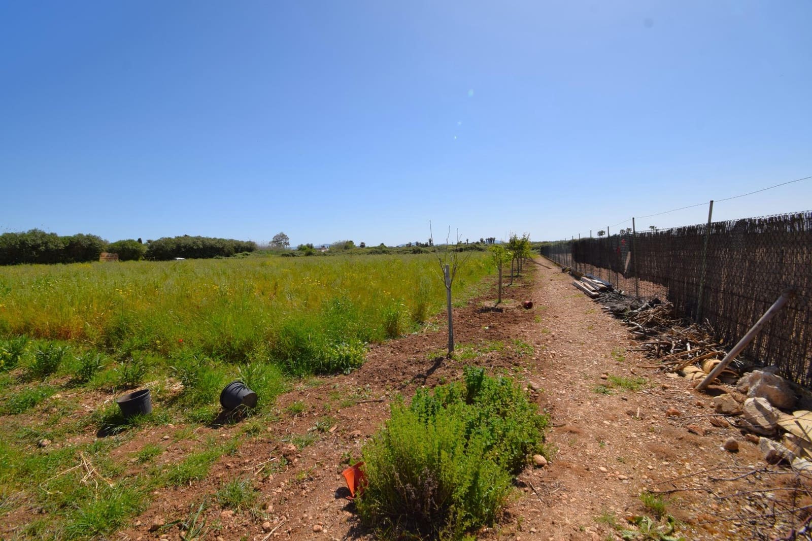 Building Plot for sale in Muro - € 165,000 (Ref: 9773278)