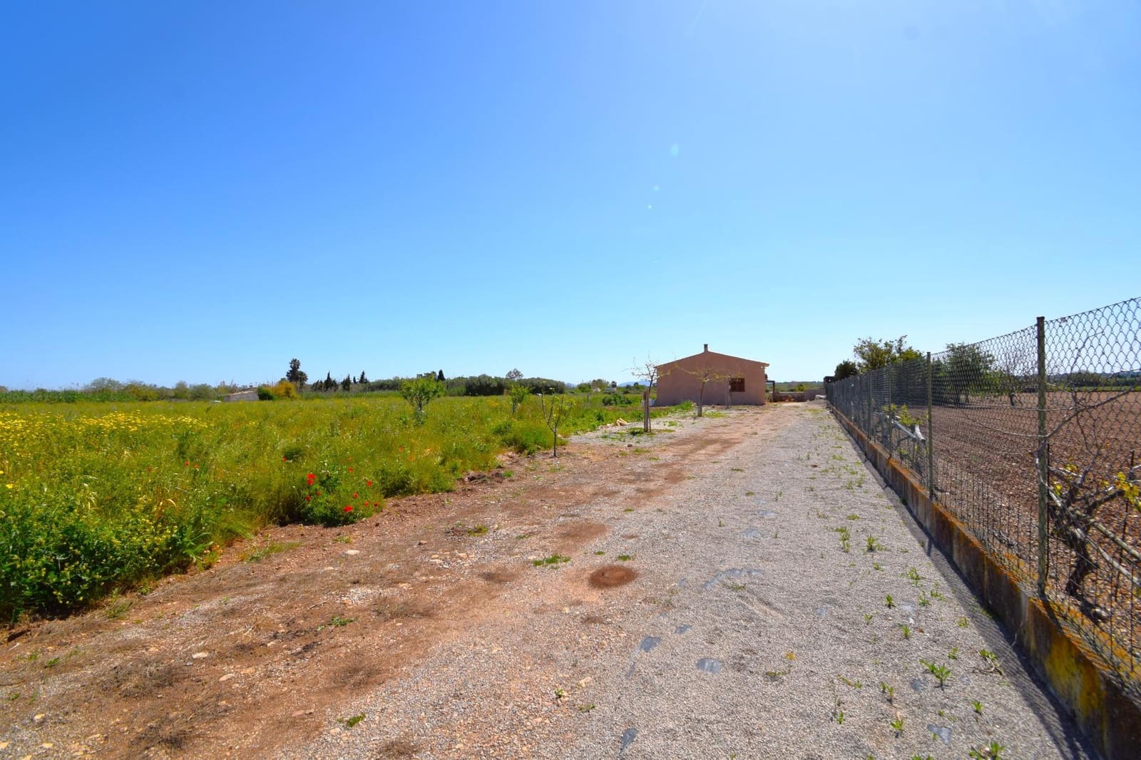 Building Plot for sale in Muro - € 165,000 (Ref: 9773278)