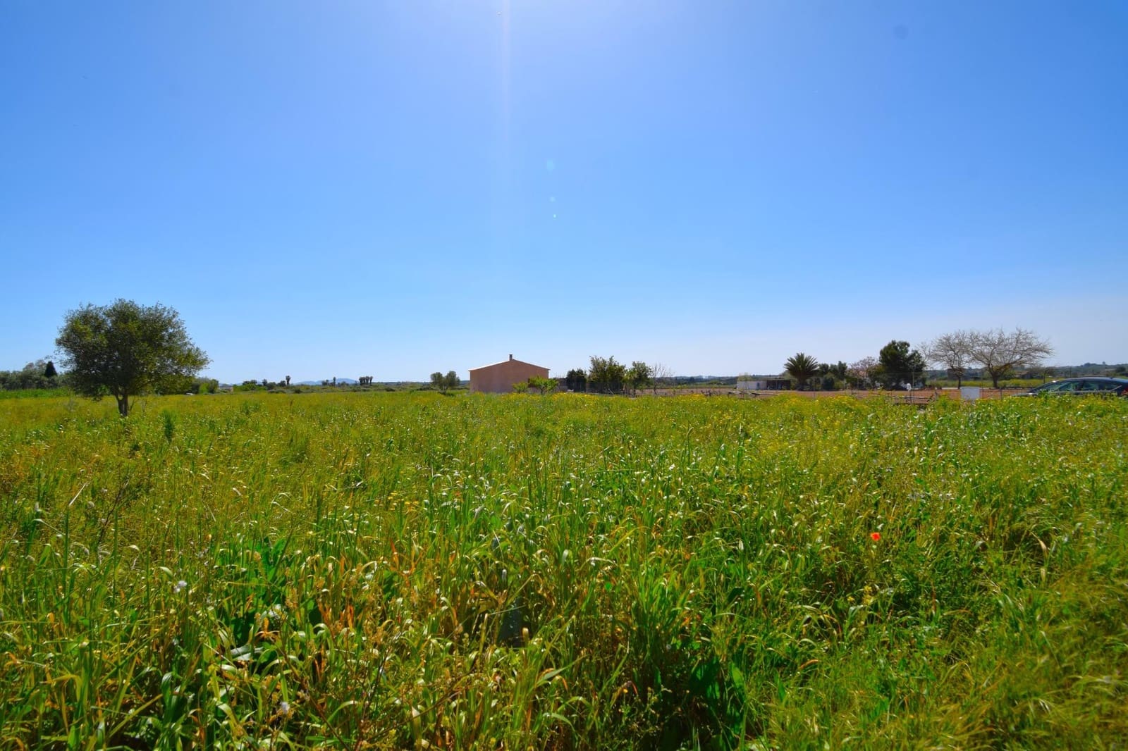 Building Plot for sale in Muro - € 165,000 (Ref: 9773278)