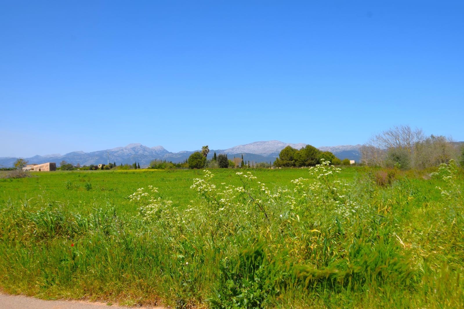 Building Plot for sale in Muro - € 165,000 (Ref: 9773278)