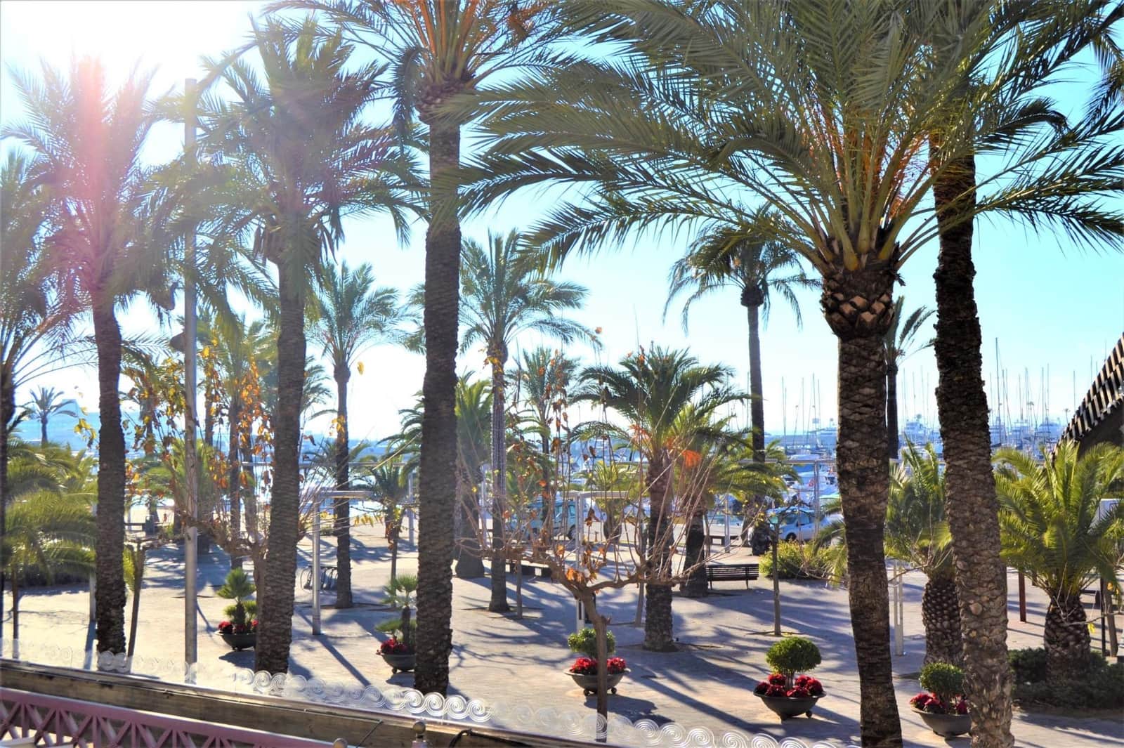 3 sypialnia Mieszkanie do wynajęcia w Alcudia - 2 640 € (Ref: 9797324)