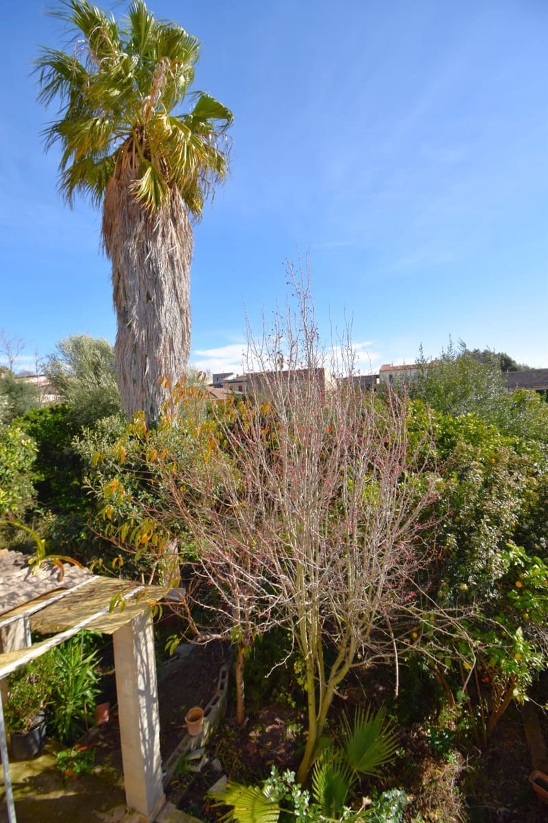 5 chambre Maison de Ville à vendre à Campanet - 500 000 € (Ref: 9797326)