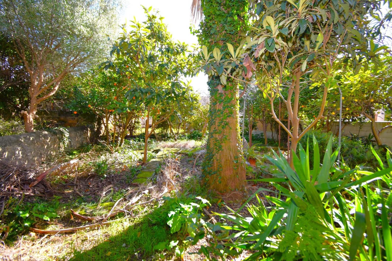 5 chambre Maison de Ville à vendre à Campanet - 500 000 € (Ref: 9797326)