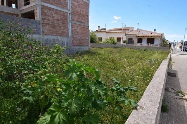 Byggegrund til salg i Son Serra de Marina, Santa Margalida - € 350.000 (Ref: 9839514)