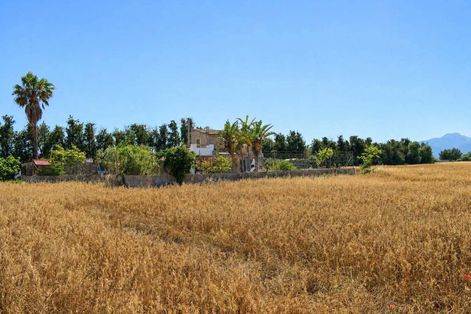 3 bedroom Finca/Country House for rent in Muro with pool garage - € 2,000 (Ref: 9862041)