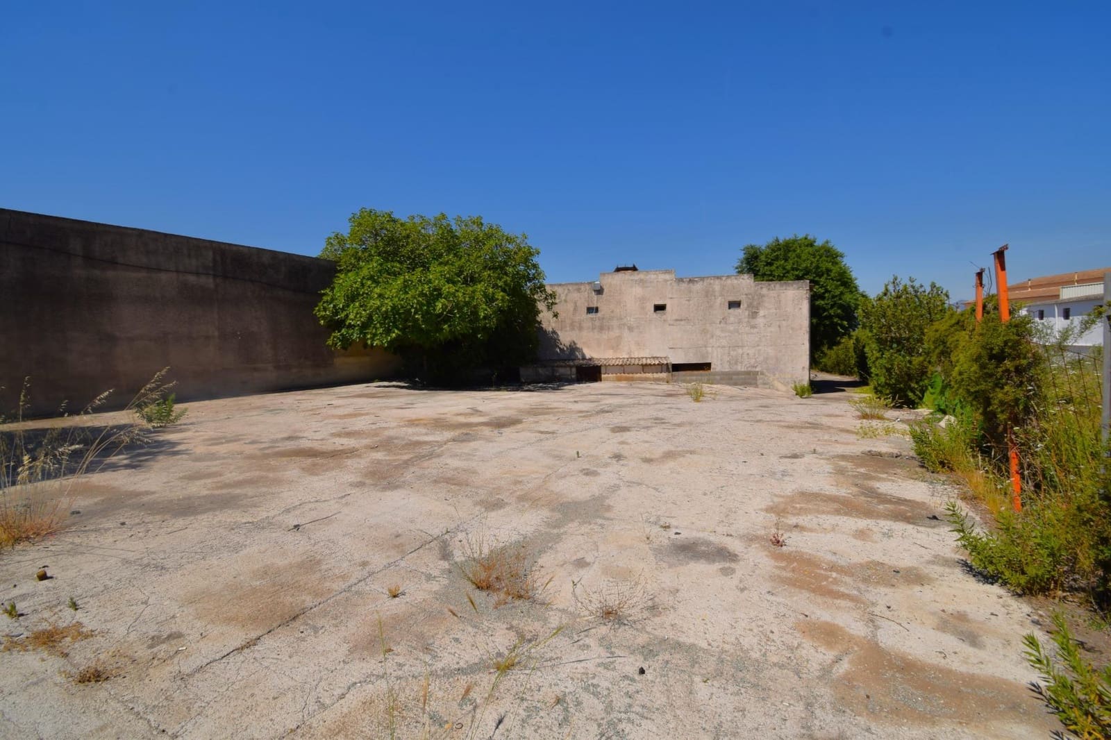 Kommersiell til salgs i Muro - € 850 000 (Ref: 9867143)