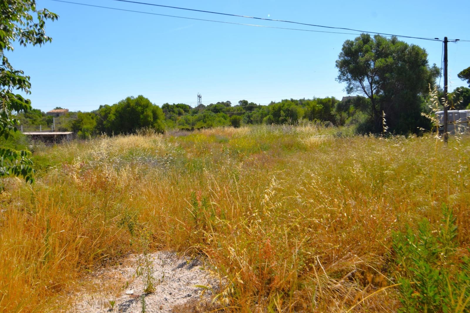 Kommersiell til salgs i Muro - € 850 000 (Ref: 9867143)