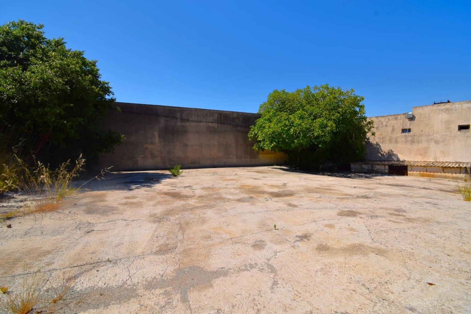 Kommersiell til salgs i Muro - € 850 000 (Ref: 9867143)