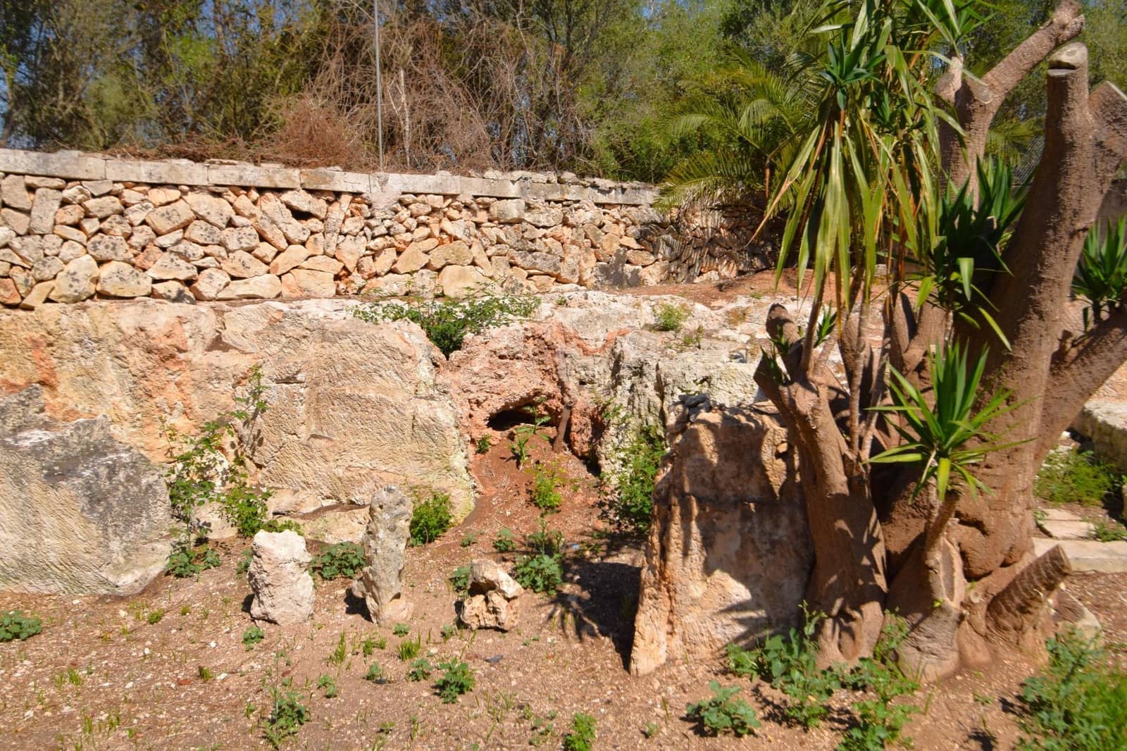 1 bedroom Finca/Country House for sale in Muro with pool - € 375,000 (Ref: 9868813)