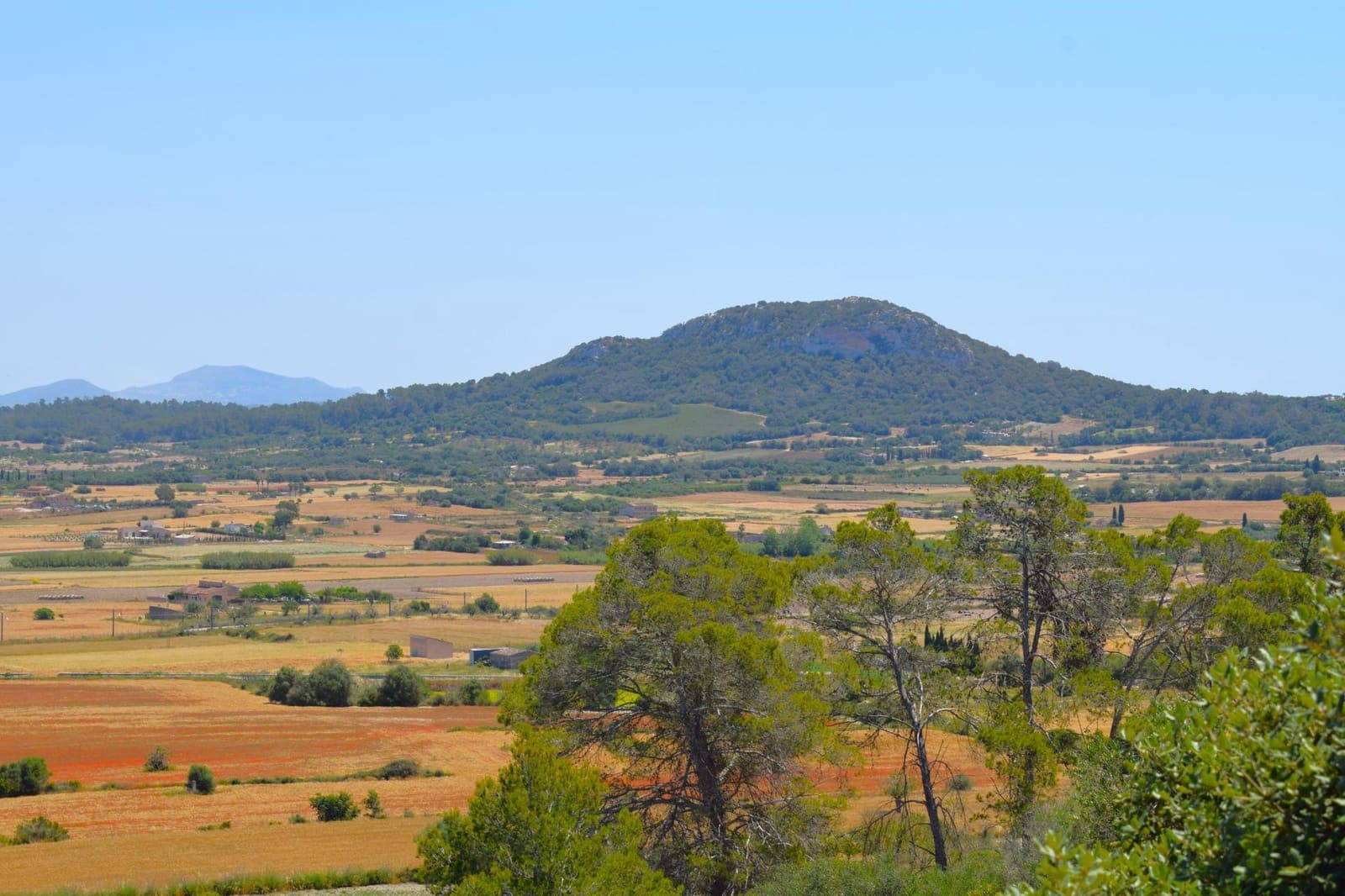 4 camera da letto Finca/Casa di Campagna da affittare in Muro con piscina - 3.000 € (Rif: 9873701)