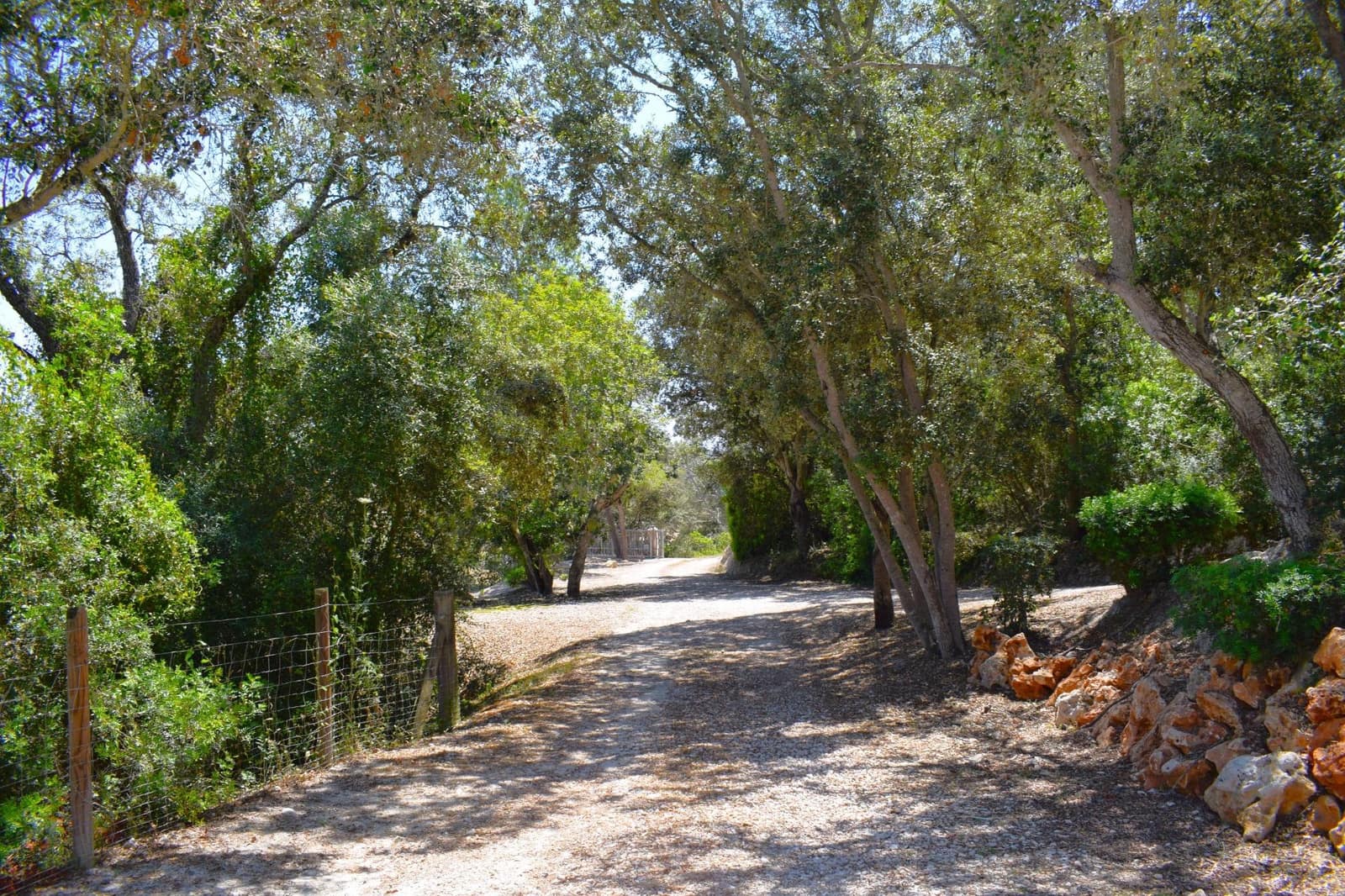 4 camera da letto Finca/Casa di Campagna da affittare in Muro con piscina - 3.000 € (Rif: 9873701)
