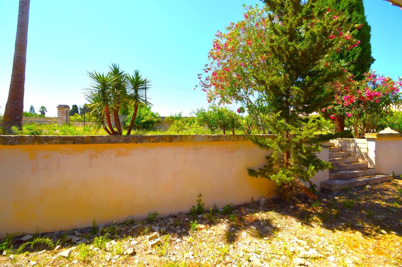 3 sovrum Finca/Hus på landet till salu i Santa Margalida - 429 000 € (Ref: 9892547)