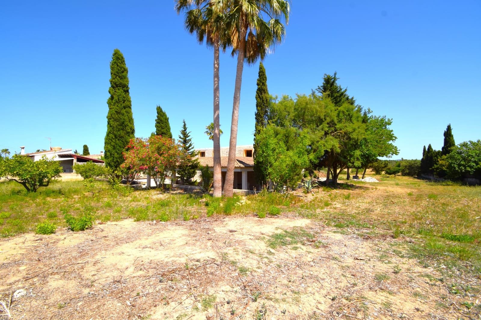 Finca/Casa Rural de 3 habitaciones en Santa Margalida en venta - 429.000 € (Ref: 9892547)
