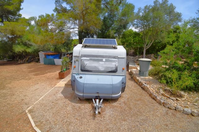 Terre non Aménagée à vendre à Petra - 75 000 € (Ref: 9904168)