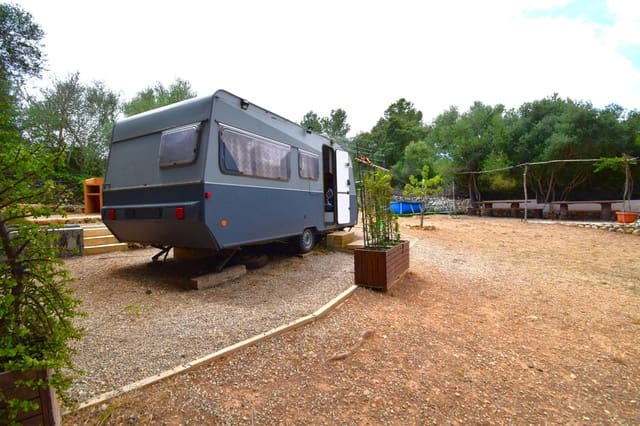 Terre non Aménagée à vendre à Petra - 75 000 € (Ref: 9904168)